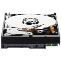 Western digital HD Caviar Green (WD25EZRX)